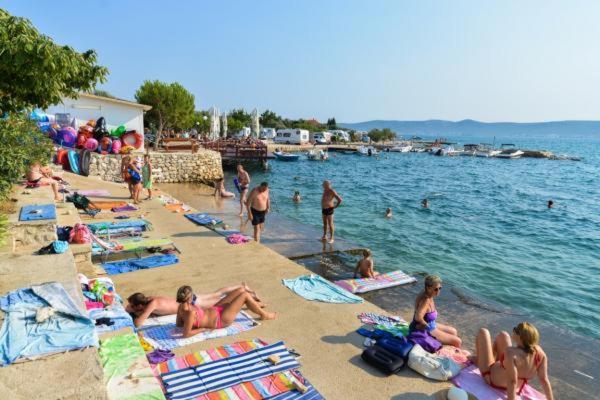 Apartments Jelekovac سفيتي بيتار المظهر الخارجي الصورة